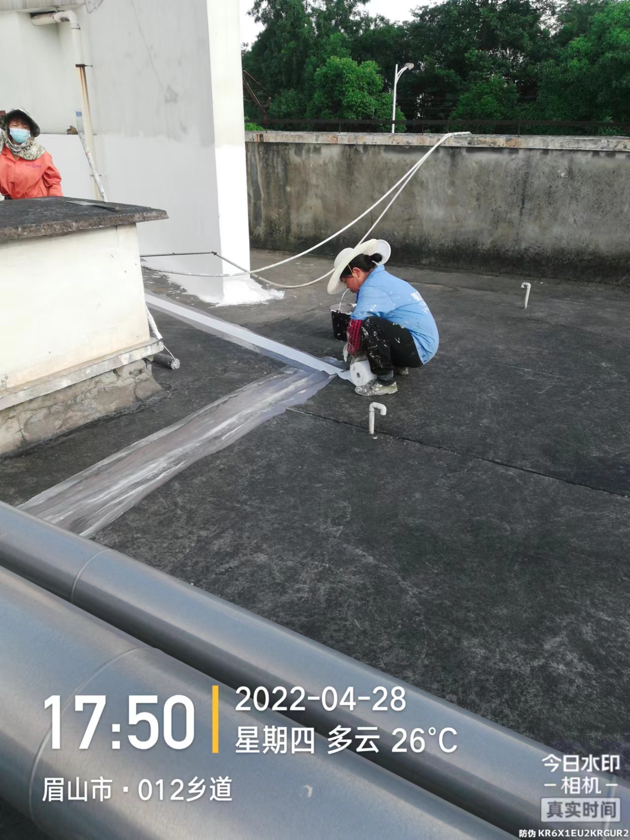 1654312321256532.jpg